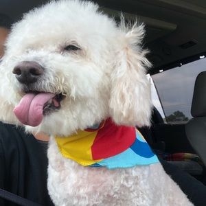 Meet your Posher, Funmilayo